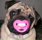 Фотография Фахрутдиновой Елены