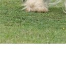 Каріно4ка♥ Шрамко фотография #41 (источник - https://vk.com/id147791993)