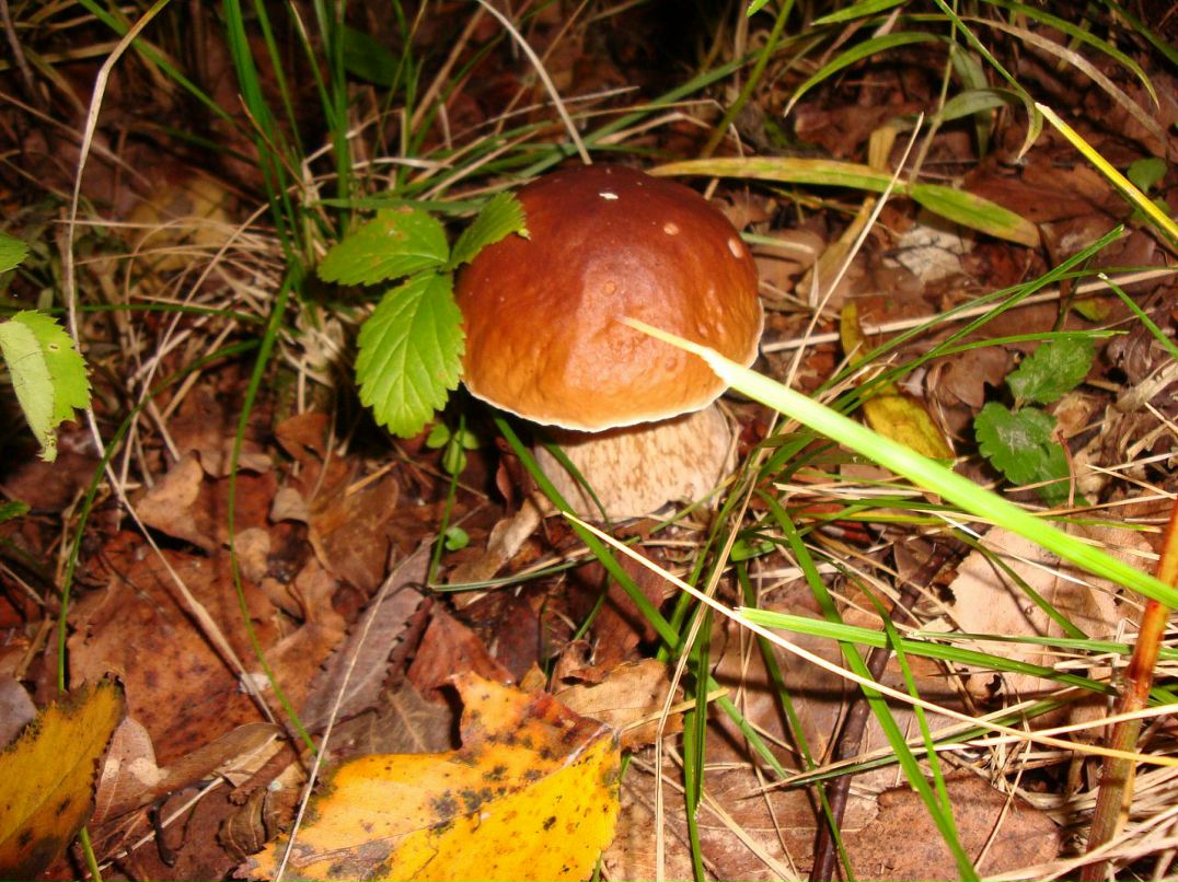 Эмма Кубло фотография #45