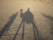 Фотография Лопатиной Марии