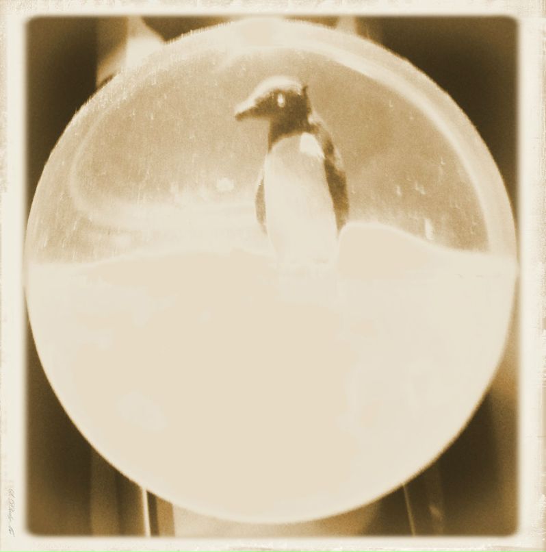 Матвей Крепак фотография #13