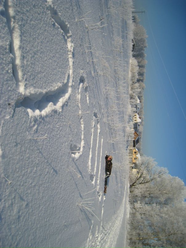 Дмитрий Булаев фотография #34