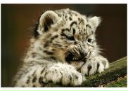 Фотография Зубаревича Андрея