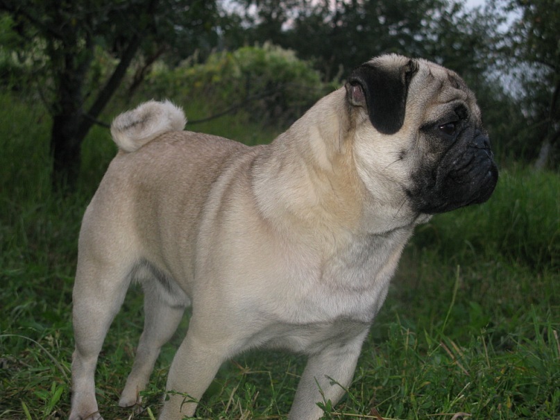 Дима Сумачев фотография #12