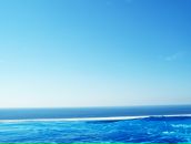 Фотография Форест Юлии