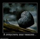 Фотография Шамиль Долгов
