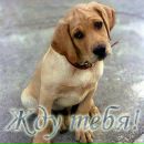 Наталі Плахотнік фотография #22 (источник - https://vk.com/id120307276)