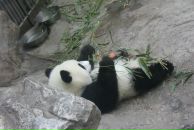 Dima Suharev фотография #22 (источник - https://vk.com/id295111)