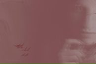 Фотография Акминас Дмитрий