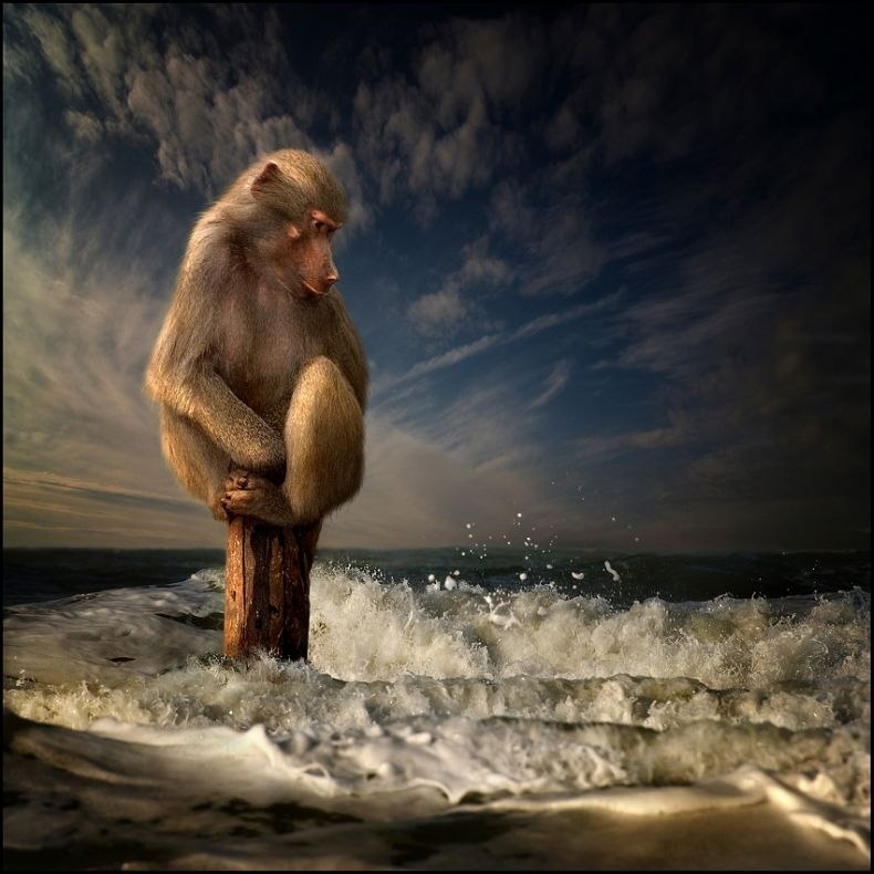 Денис Чалов фотография #27