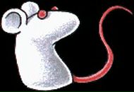 Фотография Щербы Евгения