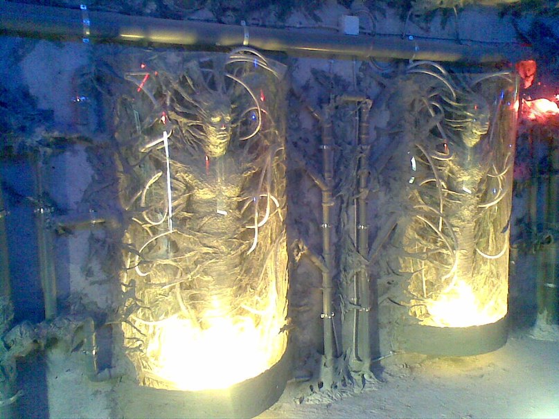 Игорь Диденко фотография #19