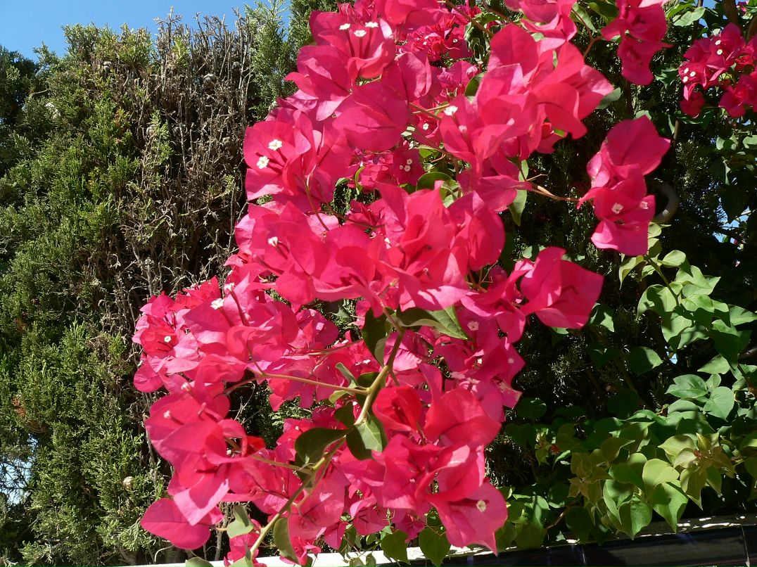 Сергей Маслов фотография #20