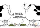 Ваня Кіндрак фотография #33 (источник - https://vk.com/id18518175)