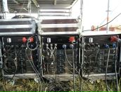 Даня Черных фотография #24 (источник - https://vk.com/id180182)