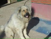 Фотография Вотякова Светлана