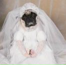 Фотография Балабан Артём