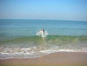 Фотография Angel-Mitushina Elena