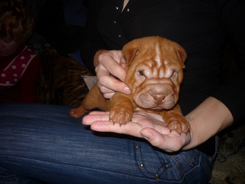 Дмитрий Малов фотография #9