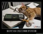 Фотография Стрелковой Полины