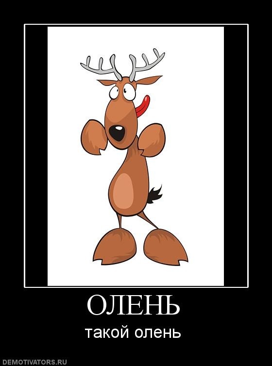 Дмитрий Олейников фотография #32