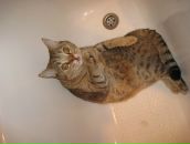 Фотография Чучалиной Кати