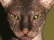 Виктор Мельник фотография #19 (источник - https://vk.com/id709304)