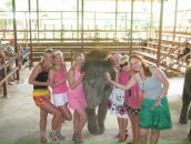 Марина Беленкова фотография #26 (источник - https://vk.com/id890375)