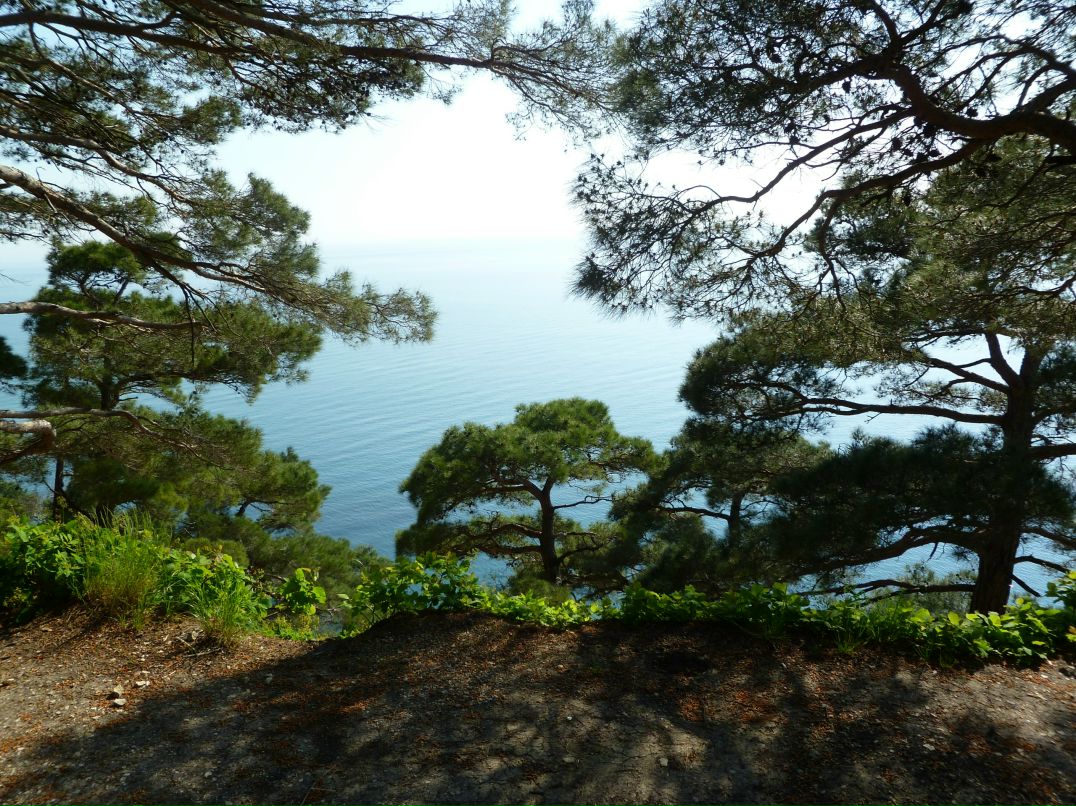 Егор Бованенко фотография #33