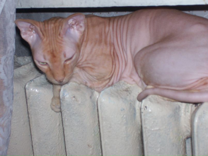 Владимир Кузьмин фотография #42