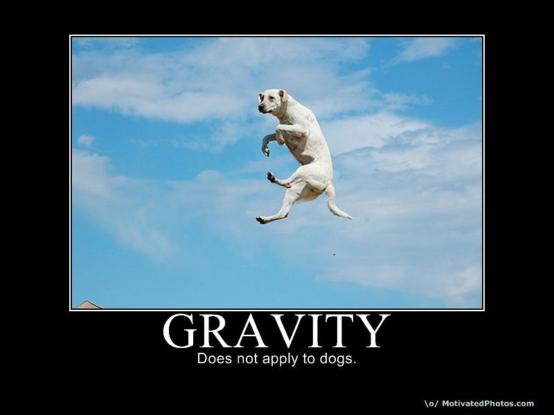 Olga Olla фотография #19