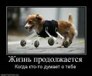 Іван Вархоляк фотография #4 (источник - https://vk.com/id172096028)