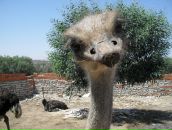 Фотография Сотниковой Анастасии