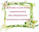 Вера Μихайлова фотография #6 (источник - https://vk.com/id158512182)