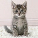 Діана Береза фотография #23 (источник - https://vk.com/id157656163)