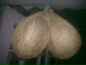 Александр Панов фотография #24 (источник - https://vk.com/id1037726)