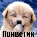 Юлія Романенко фотография #22 (источник - https://vk.com/id136620113)