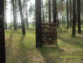 Вітя Ничипорчук фотография #26 (источник - https://vk.com/id74247291)