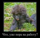 Фотография Пыхтеева Ивана