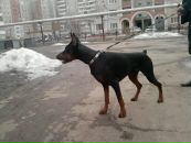 Фотография Петровой Анны