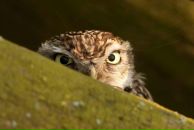 Игореха Греков фотография #10 (источник - https://vk.com/id36395)