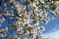 Фотография Александрова Александра