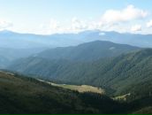 Дмитрий Плотников фотография #8 (источник - https://vk.com/id78274801)