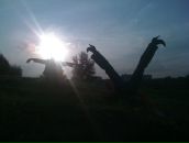 Фотография Николаевой Надежды