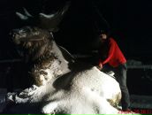 Фотография Прокофьева Павла