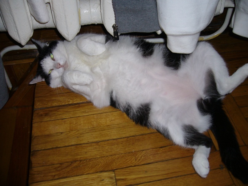 Игорь Полшков фотография #8