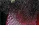 Діма Колiсник фотография #10 (источник - https://vk.com/id70542700)