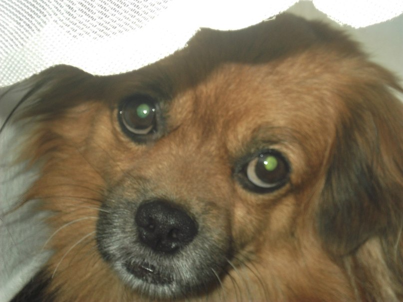 Марат Хамидуллин фотография #8