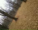 Віталій Крикливий фотография #27 (источник - https://vk.com/id69604341)