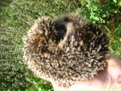 Фотография Кудяковой Ирочки